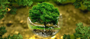 Protect environment - Kalpaka