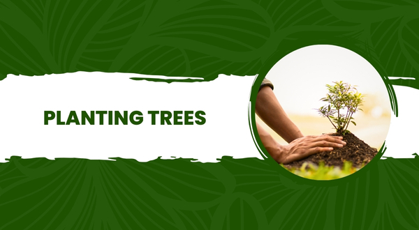 planting trees 3