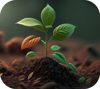 tree planting