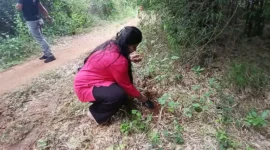 Planting