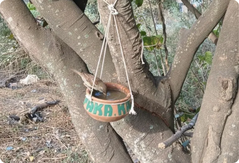 Kalpaka