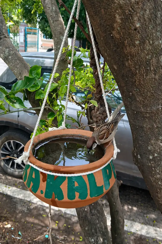 kalpaka