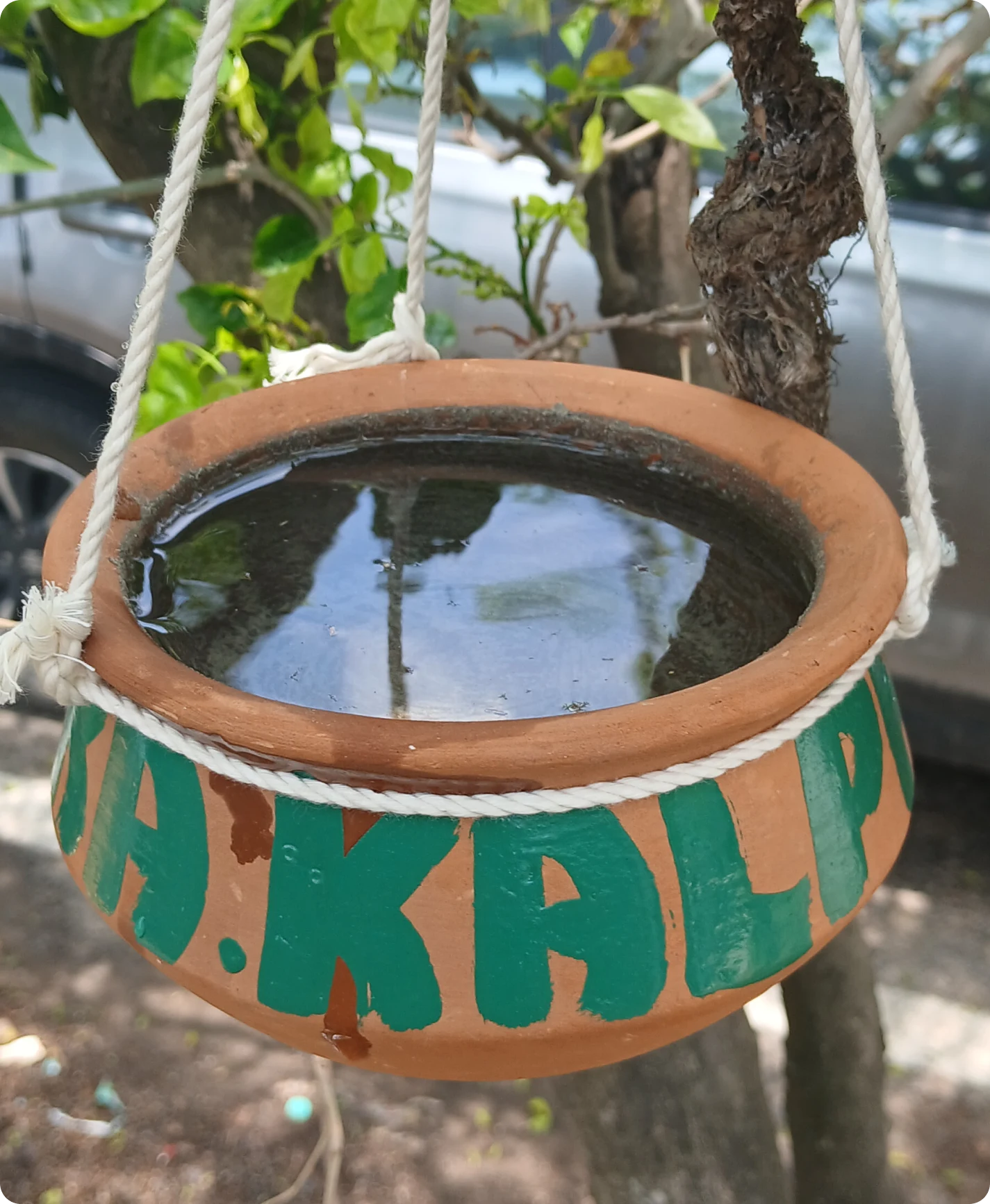 Kalpaka