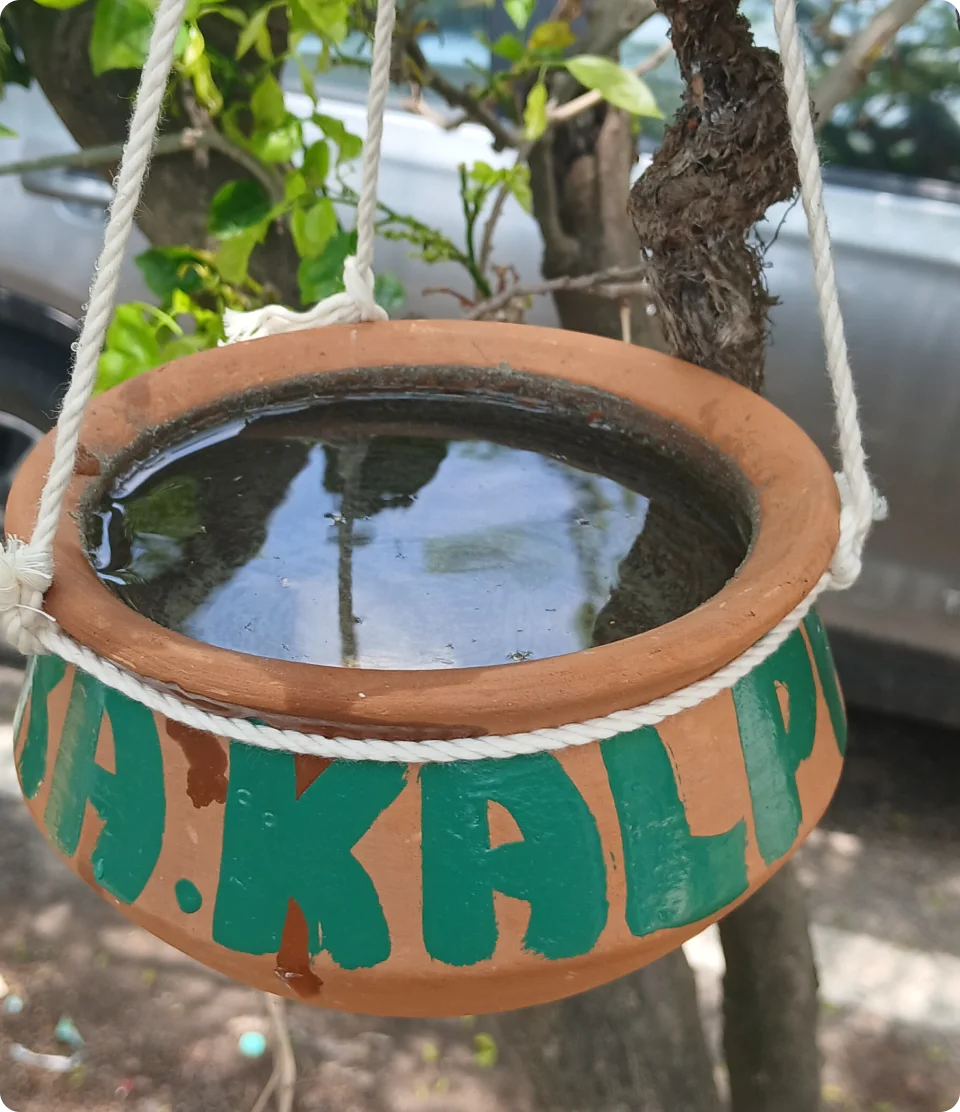 Kalpaka